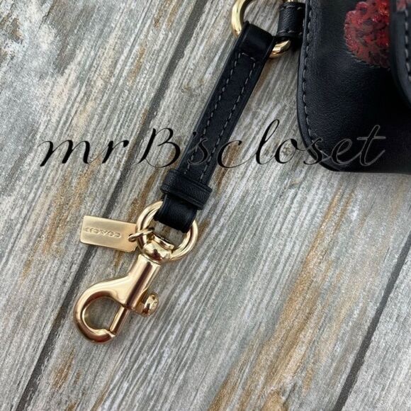 Authentic Coach Sunglass Case With Cherry Print & Smooth Leather Bag Purse main image 7